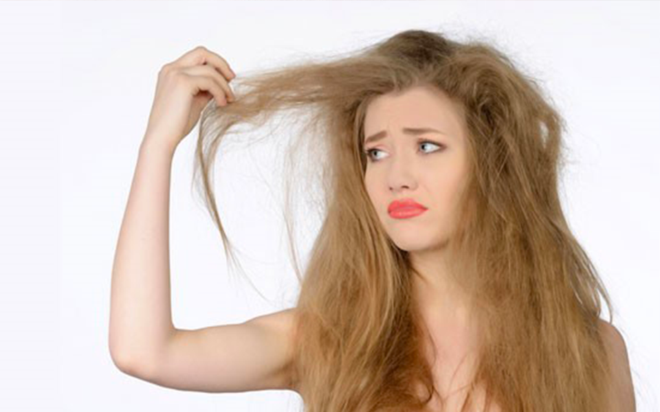 D28A16FB-416C-4C10-9A28-7EFD9E2152F9