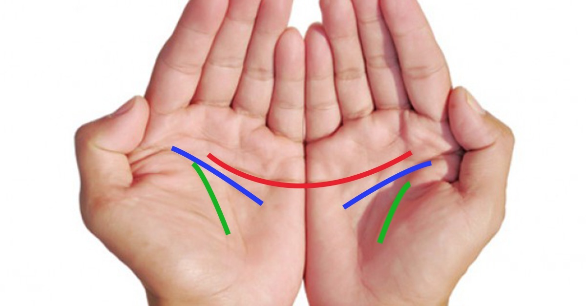 signification-lignes-de-la-main_655e3e9b2f553195d822e0a9de35e5a4855d8d36